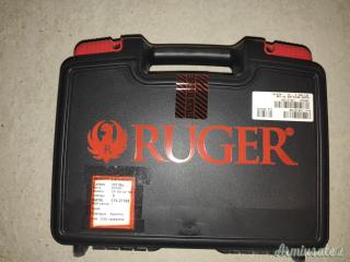 Ruger | Sturm Gp100 .357 Magnum  |  9x31mmR  | .353 Casull