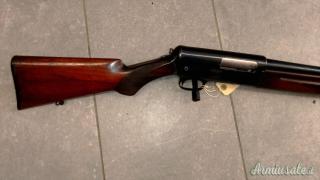 Winchester 1911 12