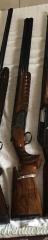 Rizzini vertex 12