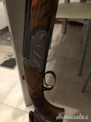 Rizzini vertex 12