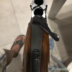 Rizzini vertex 12