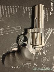 Ruger | Sturm Gp 100 .357 AutoMag