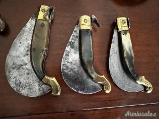 Collezione RONCOLE ANTICHE