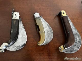 Collezione RONCOLE ANTICHE