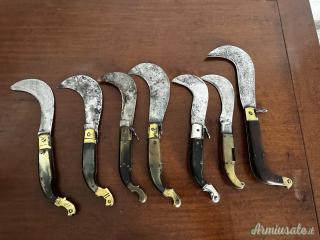 Collezione RONCOLE ANTICHE