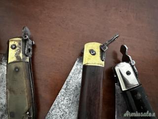 Collezione RONCOLE ANTICHE