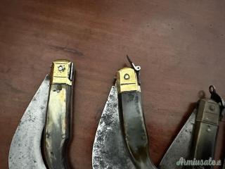Collezione RONCOLE ANTICHE