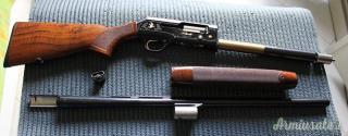 Beretta A304 GOLD LARK 12