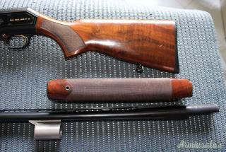 Beretta A304 GOLD LARK 12