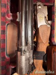 Beretta ASE Gold 12