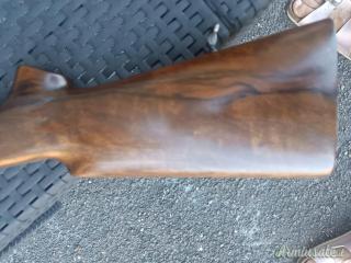 Cosmi Standard 12