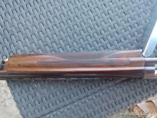 Cosmi Standard 12