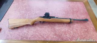 Ruger | Sturm  .44 Remington Magnum
