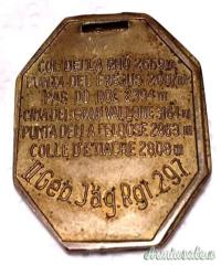 Distintivo “a ciondolo” o placchetta commemorativa di Reparto del “II GEBIRGSJÄGER-REGIMENT 297”