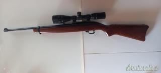 Ruger | Sturm 10 22  .22 Long Rifle