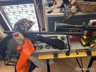 Canna Blaser R8 in 223 affare