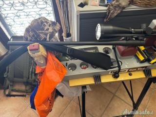Canna Blaser R8 in 223 affare