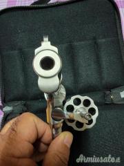 Smith & Wesson 686 plus .357 Magnum  |  9x31mmR  | .353 Casull
