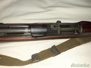 Springfield 1903