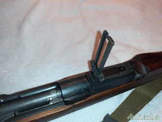 Springfield 1903
