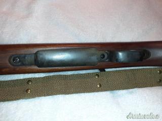 Springfield 1903