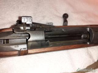 Springfield 1903