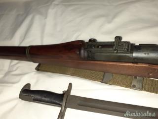 Springfield 1903
