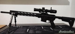 Ruger AR556 MPR 18