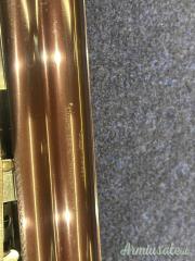 Cosmi Lusso 12