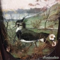 DIORAMA