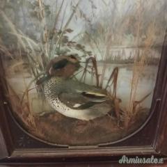 DIORAMA