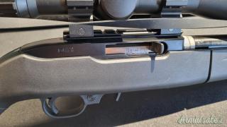 Ruger | Sturm 10/22 Takedown Lite .22 Long Rifle