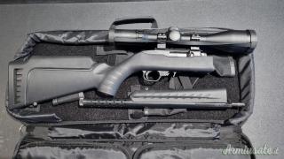 Ruger | Sturm 10/22 Takedown Lite .22 Long Rifle