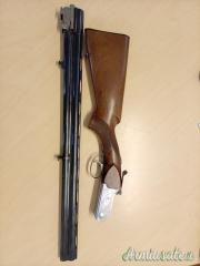 Rizzini  12