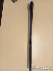 Rizzini  12