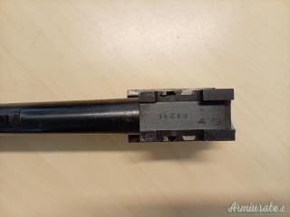 Rizzini  12