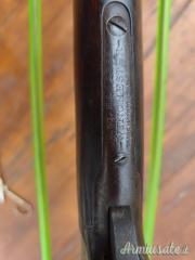 Winchester  .25-20 Winchester