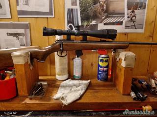Norinco Jw 15 .22 Long Rifle