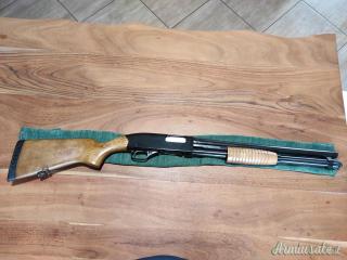 Winchester Defender 12