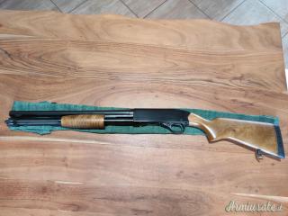 Winchester Defender 12