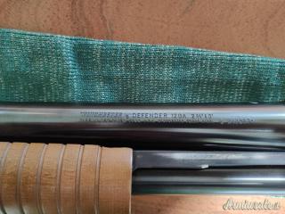Winchester Defender 12