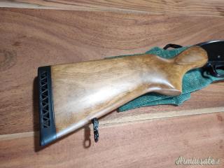 Winchester Defender 12