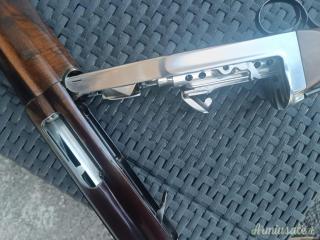 Cosmi Standard 12