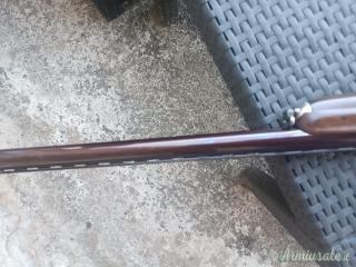 Cosmi Standard 12