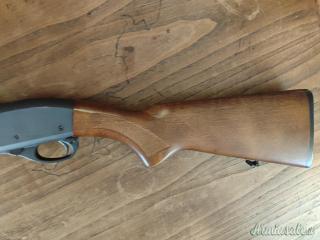 Remington 870 espress .410