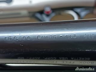 Beretta AL391 Light 12/76