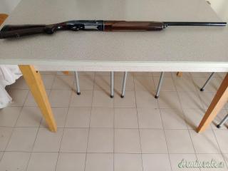 Beretta A301 12