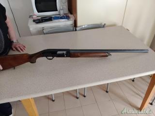 Beretta A301 12
