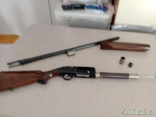 Beretta A301 12