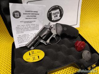 Charter Arms Pit Bull